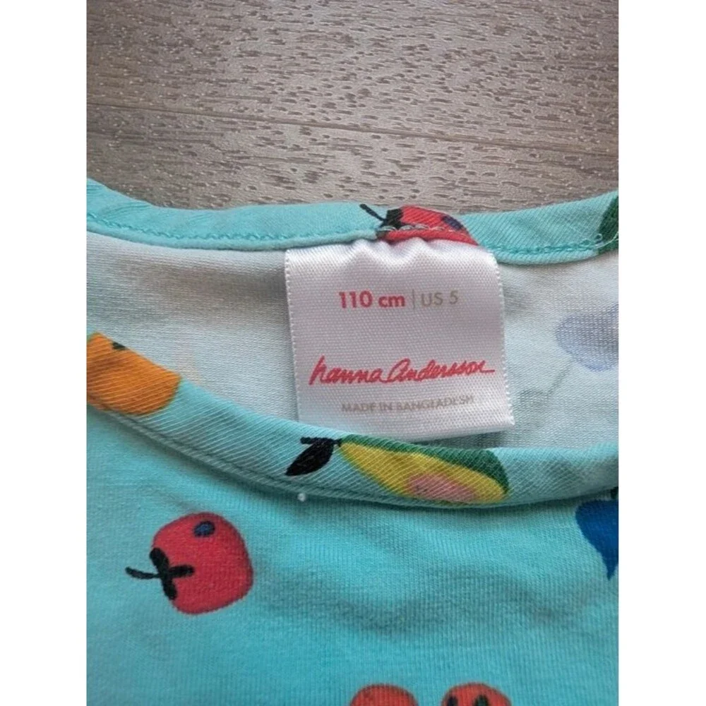 Hanna Andersson Teal Fruit Print Dress, 5T (U1)